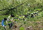 현대엔지니어링, 상암 노을공원서 '생태숲 가꾸기 봉사활동' 진행