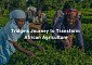 트릿지, 아프리카 농업 상공회의소와 '데이터 교류·수출입 진흥' 협약