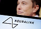 머스크 “뉴럴링크, 두 번째 뇌 칩 이식 성공”