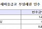 새마을금고 부실채권 ‘1.7조’ 떠안은 캠코, 연말부터 털어낸다