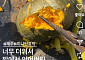 ‘찜통더위’에 제주도 단호박 밭에서 익어 ⋯ 농가 한숨
