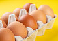 ‘하루 계란 한 알’ 시대⋯50년간 1인당 소비량 4배↑ [에그리씽]