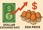 달러가 요동치면 닭이 화내는 이유?…계란 값이 알려준 진실[에그리씽]
