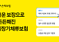 카카오페이손해보험, 해외장기체류보험 개편…의료비 보장 최대 2억 원으로 대폭 확대