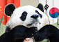판다 추가 대여…푸바오가 돌아올 순 없나요? [해시태그]