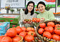 농협유통, 겨울철 면역력 강화 식품으로 ‘토마토’ 추천