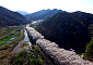 [포토뉴스] '한국의 아름다운 길 100선'...보성군 벚꽃터널
