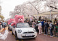 롯데홈쇼핑, 여의도 벚꽃축제서 ‘벨리곰’ 전시 진행