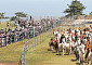 '제주도 말 100여마리 초원질주...입목 전통재현 축제