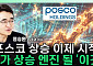 '리튬값 4배 반등'에⋯포스코홀딩스, 재평가 기대 커지나 [찐코노미]