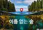 현대차, 바다숲 지키는 ‘이름 없는 숲’ 캠페인 전개