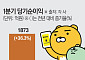 ‘최대 실적’ 카카오뱅크·카카오페이, 블록체인ㆍAI 신사업 속도낸다