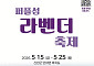 신안군, 퍼플섬 라벤더 축제 15일 개막