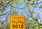산악·해안 등 국가지점 번호판 일제조사...전남도와 진도군 마무리