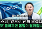 “리튬 가치 아직 주가에 없다”...포스코홀딩스 재평가 시작되나 [찐코노미]
