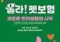 이마트, DB손해보험과 ‘올라 펫보험’ 선봬