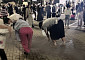 "다 죽이겠다" 잠실 개표서 자해 소동⋯시민 위협하다 경찰 제압