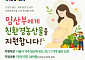 서울시, 임산부 2만9000명 친환경농산물 연 24만원 지원⋯13일부터 접수