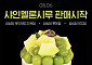 성심당 신상시루 '샤인멜론시루' 출시