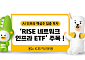 KB운용, 'RISE 네트워크인프라 ETF' 주목…국내주식형 ETF 수익률 1위