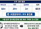 中 배추김치·배추 포름알데히드 검사 ‘이상무’…82건 모두 불검출