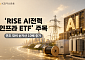 AI 발 전력 수요 급증…KB운용 'RISE AI전력인프라 ETF' 순자산 10배 '껑충'