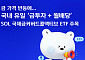 SOL 국제금커버드콜액티브 ETF, 금값 반등에 '금+월배당' 부각