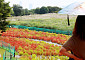 오후부터 중부ㆍ전북 비⋯아침엔 내륙 '짙은 안개' [날씨]