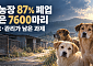 개농장 87% 문 닫았다…‘식용 종식’ 남은 과제는 7600마리 관리