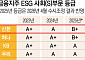 신한금융, 정보유출에 ESG 등급 또 하락할까