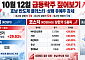 [급등락주 짚어보기] 최태원 ‘호남 반도체’ 속도전에 금호전기·서산·유신 상한가…상폐 유예주도 강세