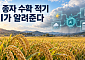 비 오기 전 벼 수확할까…AI가 종자 수확 적기 알려준다