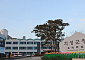 최유철 의성군수, 중국 셴양시 방문⸱교류 협력