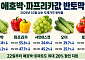 애호박·파프리카값 반토막…정부, 할인 카드로 ‘농가 구하기’