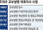 조대규 교보생명 대표, 본업 성장에 지주사 전환까지⋯'교보맨'의 승부수 [보험 CEO 연임 레이스 ②]