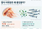 10년 새 해파리 출현 한 달 반 빨라져…남해 멸치 어획량은 25% 감소