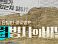 '셀럽병사의 비밀' 결방…'북중미 월드컵 NOW' 방송