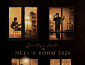 넬 콘서트 'NELL'S ROOM 2026'…학생체육관서 마지막 무대