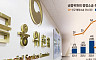 [ 흔들리는 금융감독 방정식 ]