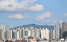 집중탐구