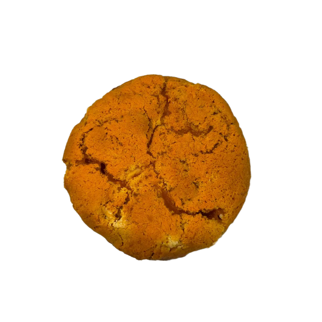 주식회사 파랑새