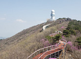 관광공사, 무장애 열린관광지 ‘대구 비슬산 군립공원’ 준공식 개최