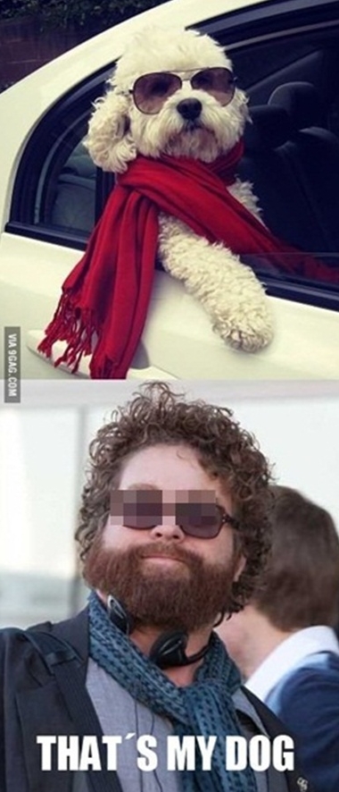 (사진=온라인 커뮤니티)