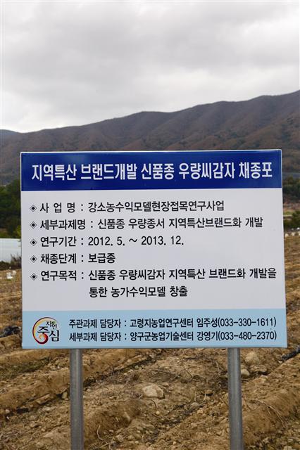 [강소농] 감자 재배의 미래를 심다 …신품종 종자생산