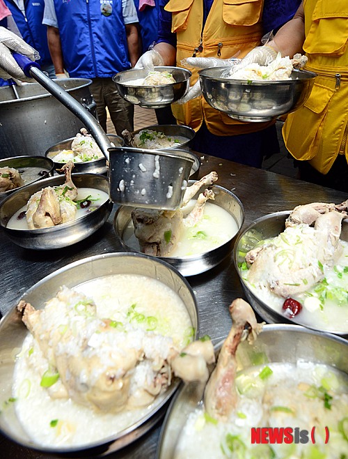 초복 삼계탕 인기, 북한에서는 단고기 먹는 날…어떤 고기?