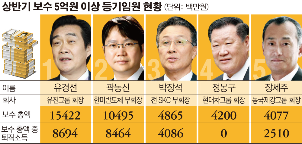 상반기 보수 5억 이상 임원 227명… 지난해 보다 35명 늘어