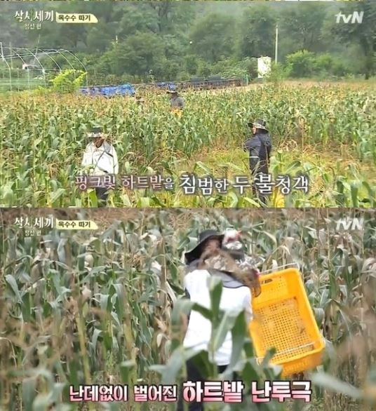 (출처= tvN '삼시세끼' 방송 캡처)