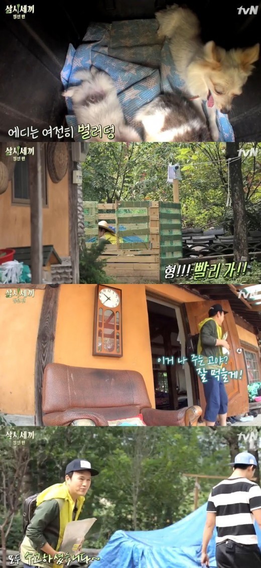 (출처:tvN '삼시세끼' 방송 캡쳐)