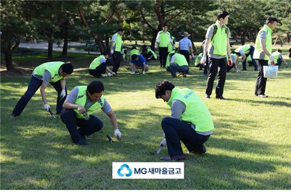 ▲새마을금고중앙회 서울지역본부 직원들이 ‘선․정릉 내 문화재 환경개선’ 자원봉사활동에 참여하고 있다.(새마을금고)