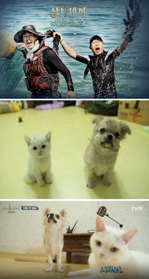 (사진=tvN 홈페이지, tvN 방송화면)
